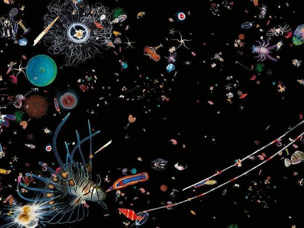 exposition sur l'océan