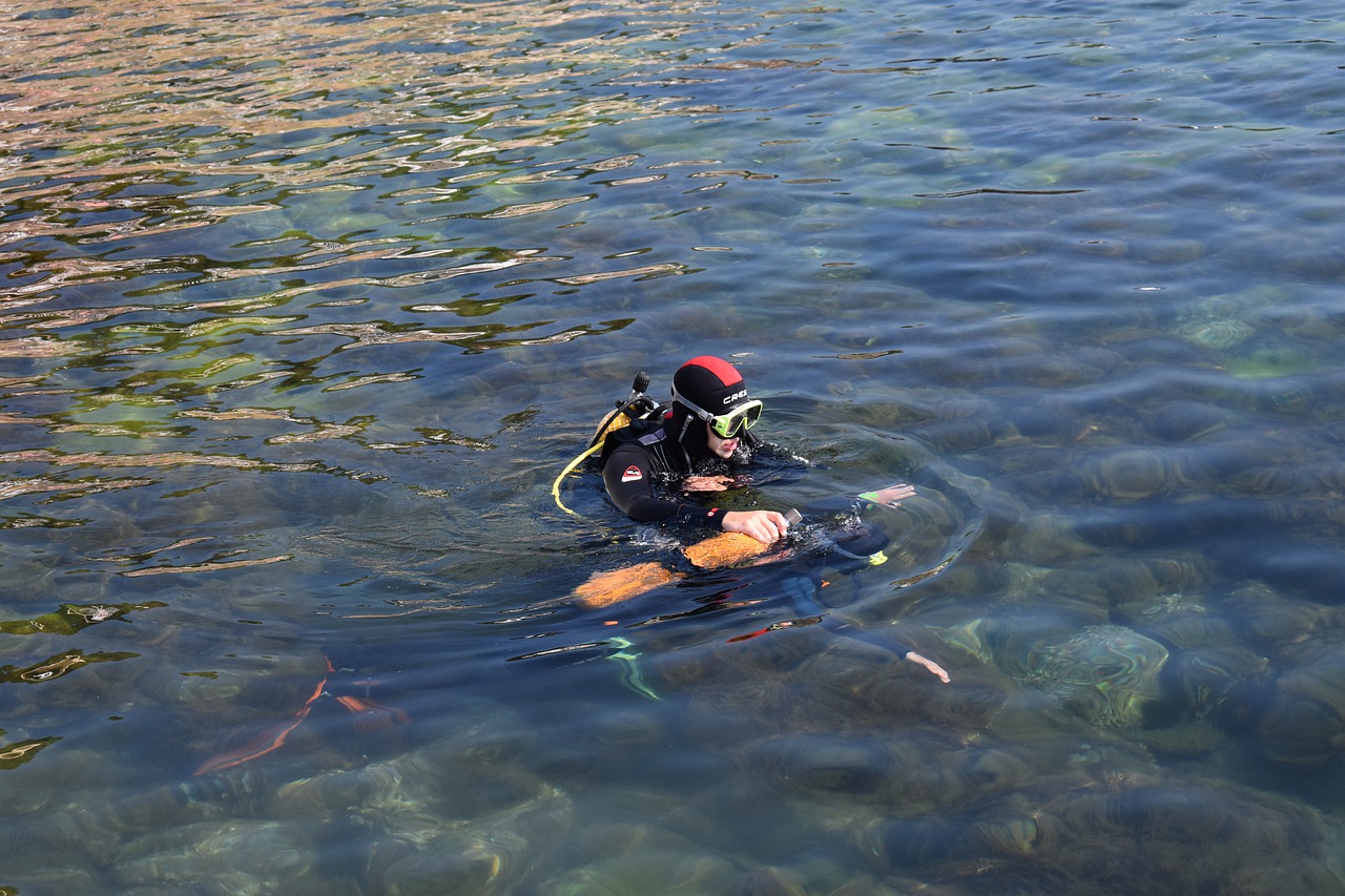 stage de plongée sous-marine en milieu naturel